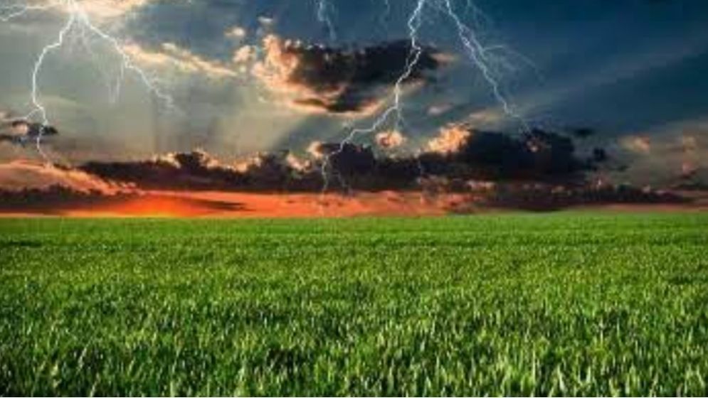 নেত্রকোনায় বজ্রপাতে ৩ কৃষক নিহত