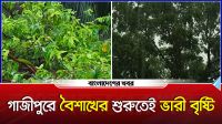 গাজীপুরে বৈশাখের শুরুতেই ভারী বৃষ্টি