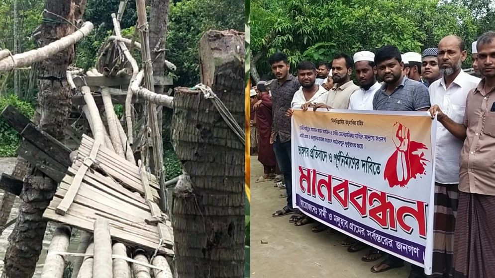 নেছারাবাদে কাঠেরপুল ভাঙার প্রতিবাদে মানববন্ধন