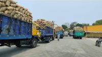 নেপালে আরও ২৭৩ মেট্রিক টন আলু রপ্তানি