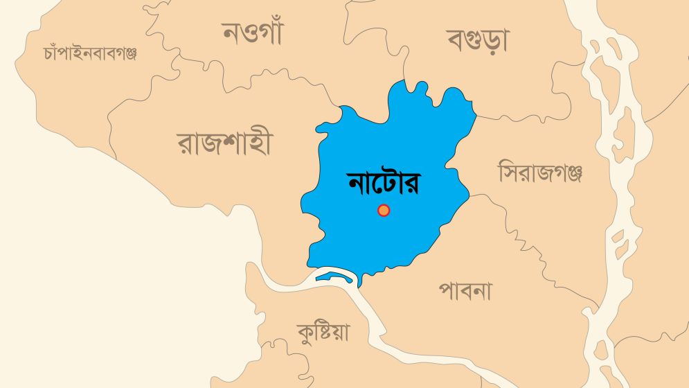 নলডাঙ্গায় ইজিবাইক উল্টে এসএসসি পরীক্ষার্থী নিহত