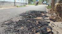 বগুড়ার শেরপুরে রাস্তা নির্মাণে অনিয়মের অভিযোগ