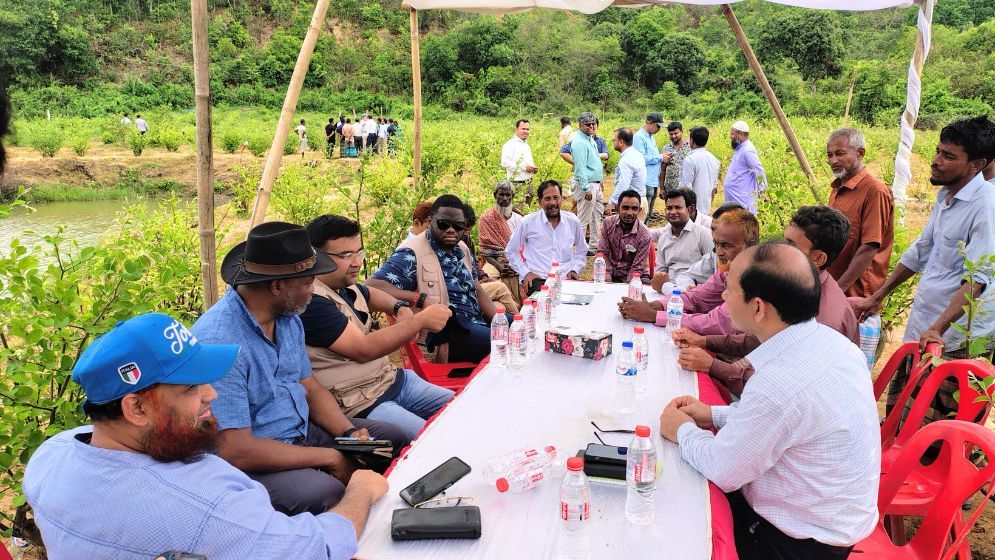 বাঁশখালীতে বিদেশিদের নজর কাড়ল কৃষক-চাষাবাদ