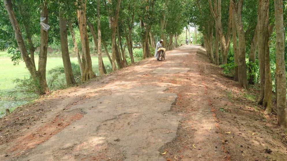 পরশুরাম পৌরসভার বেহাল রাস্তার সংস্কার জরুরি