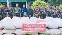 সীমান্তে টাস্কফোর্স অভিযান, জব্দ ৪০ লাখ টাকার ভারতীয় ফুচকা