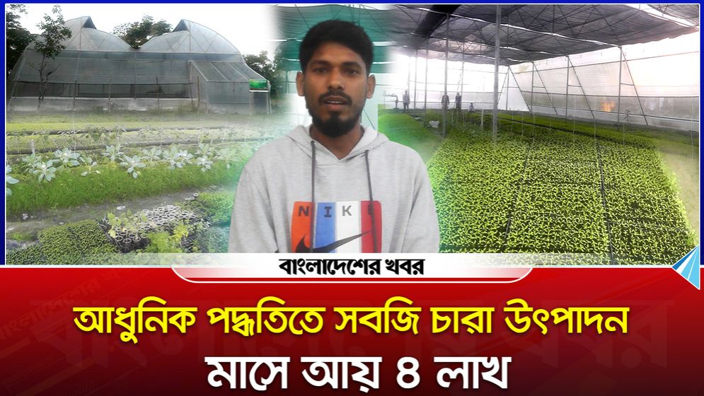 আধুনিক পদ্ধতিতে সবজি চারা উৎপাদন, মাসে আয় ৪ লাখ