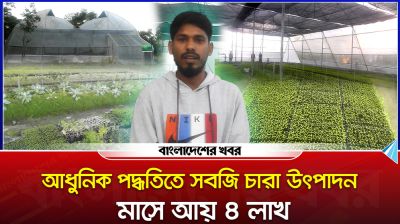 আধুনিক পদ্ধতিতে সবজি চারা উৎপাদন, মাসে আয় ৪ লাখ