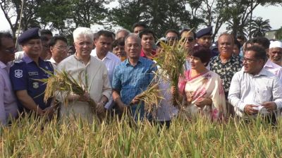 ‘আড়িয়ল বিলের প্রাণবৈচিত্র্য ফিরিয়ে আনতে খাল খনন করা হবে’