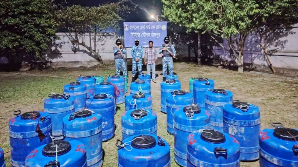 চাঁদপুরের হাইমচরে ১২ লাখ চিংড়ি রেণু জব্দ