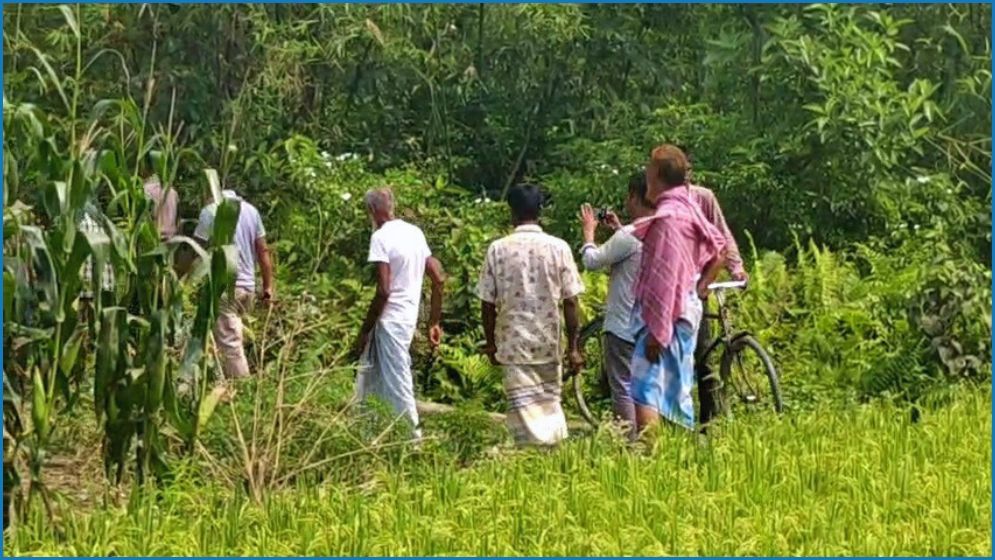 ছবি তোলার সময় মামা-ভাগিনাকে ধরে নিয়ে গেল বিএসএফ