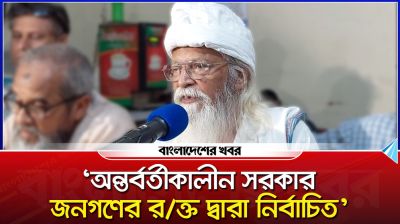 অন্তর্বর্তীকালীন সরকার জনগণের রক্ত দ্বারা নির্বাচিত : ফরহাদ মজহার