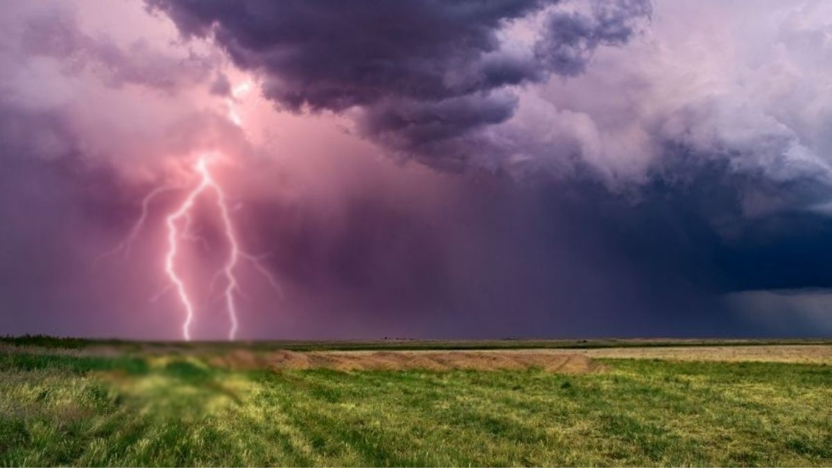 ধান কাটার সময় বজ্রপাতে দিনমজুরের মৃত্যু