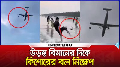 উড়ন্ত বিমানের দিকে কিশোরের বল নিক্ষেপ, ভাইরাল