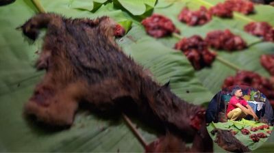 ফেনীতে প্রকাশ্যে শিয়ালের মাংস বিক্রি