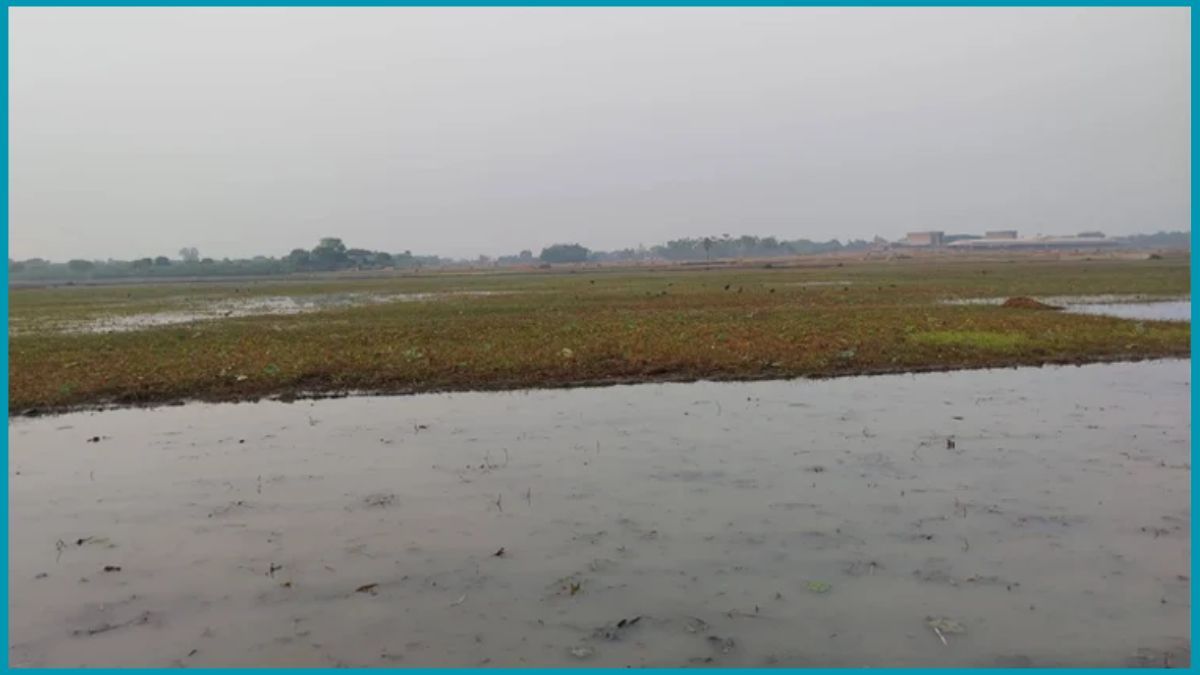 দেশে প্রথমবারের মতো ২টি ‘জলাভূমি নির্ভর প্রাণী অভয়ারণ্য’ ঘোষণা