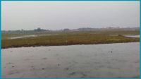 দেশে প্রথমবারের মতো ২টি ‘জলাভূমি নির্ভর প্রাণী অভয়ারণ্য’ ঘোষণা
