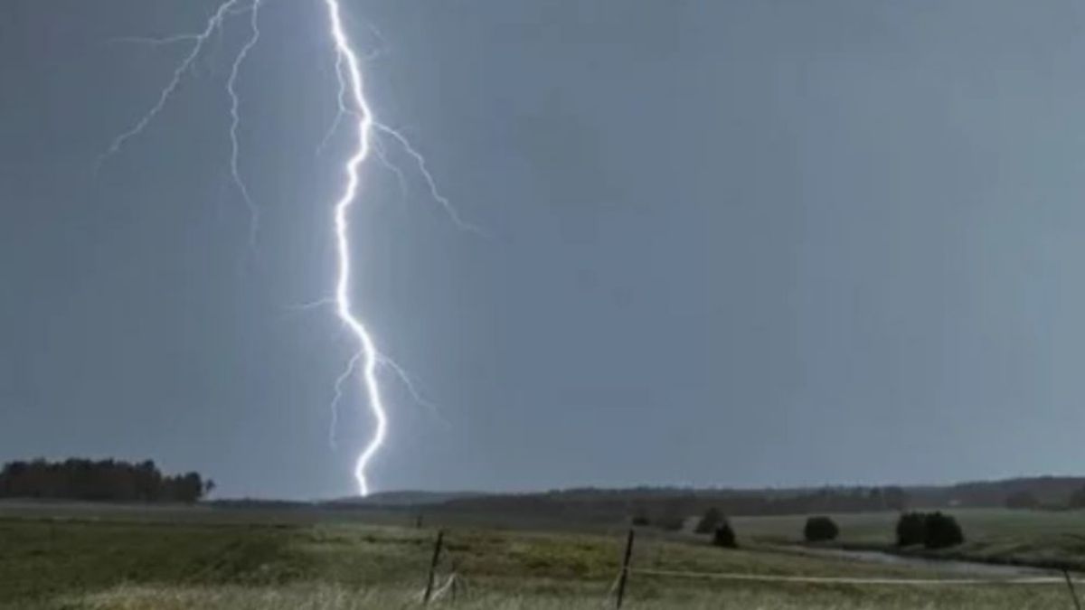মাছ ধরতে গিয়ে বজ্রপাতে স্কুলছাত্রের মৃত্যু