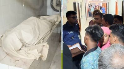 চাঁদপুরে তালগাছ থেকে পড়ে বৃদ্ধের মৃত্যু