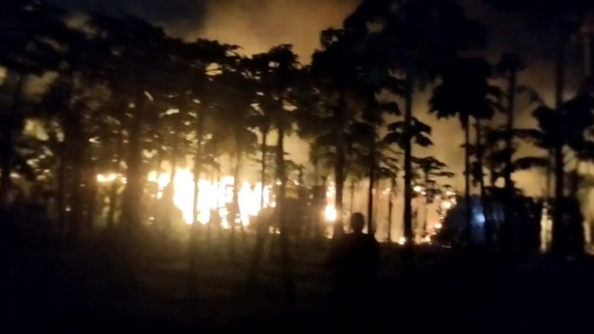 কালীগঞ্জে পানের বরজে আগুন, ৭ লাখ টাকার ক্ষয়ক্ষতি