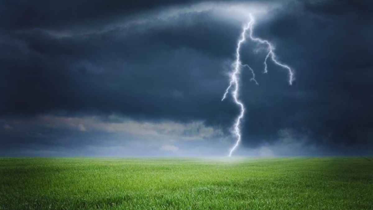 ধান কাটতে গিয়ে বজ্রপাতে কৃষিশ্রমিকের মৃত্যু