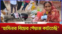 ‘হাসিনার বিয়ের পেঁয়াজ কাটতাছি’