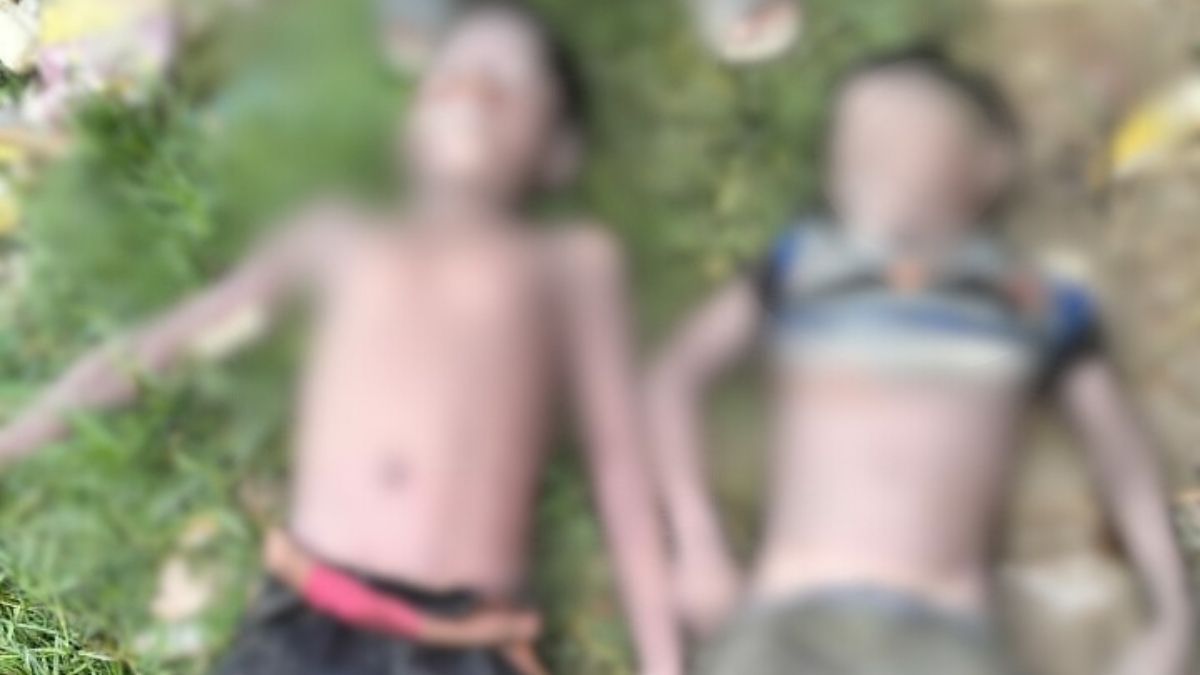 আশুলিয়ায় পুকুরে ভাসছিল ২ শিশুর মরদেহ