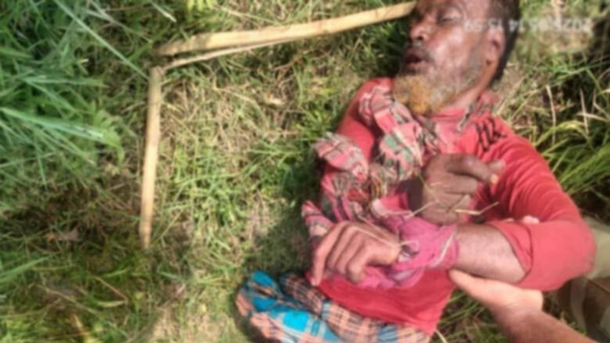 সীমান্তে ঘাস কাটার সময় বাংলাদেশিকে আটক করল বিএসএফ