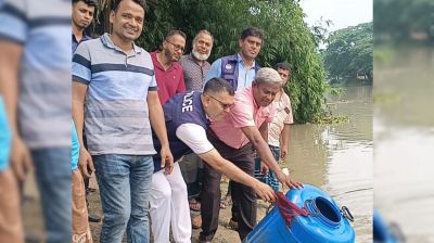গৌরনদীতে অর্ধকোটি টাকার চিংড়ির রেণু জব্দ