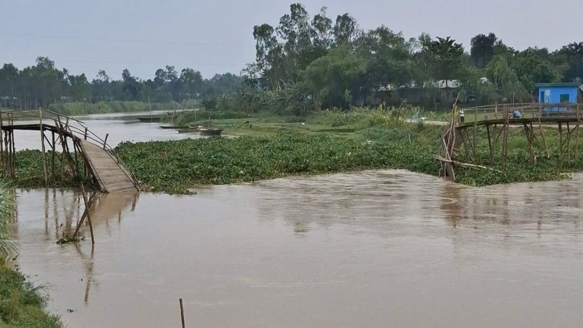 কুড়িগ্রামে বাঁশের সেতু ভেঙে যোগাযোগ বিচ্ছিন্ন ২০ হাজার মানুষ