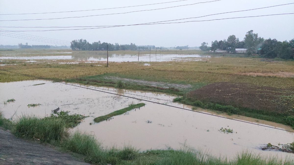 শেরপুরে নদীর পানি বাড়ছে, আকস্মিক বন্যার আশঙ্কা