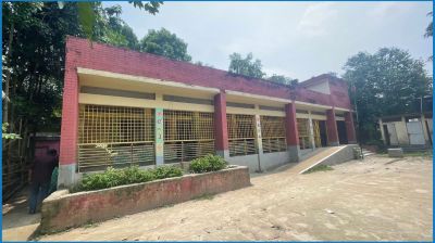 সাটুরিয়ায় প্রাথমিক বিদ্যালয়ে শিক্ষক সংকট, পাঠদান ব্যাহত