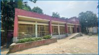 সাটুরিয়ায় প্রাথমিক বিদ্যালয়ে শিক্ষক সংকট, পাঠদান ব্যাহত