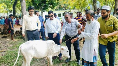 আলফাডাঙ্গায় বিকল্প কর্মসংস্থান গড়তে বাছুর পেলেন ৭৫ জেলে