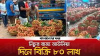 লিচুর রাজ্য আউলিয়া, দিনে কোটি টাকা লেনদেন