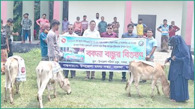 সালথায় নিবন্ধিত মৎস্যজীবীদের মাঝে ৩৫টি বকনা বাছুর বিতরণ