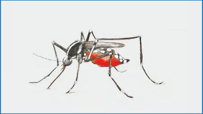 ২৪ ঘণ্টায় ডেঙ্গুতে আক্রান্ত ৬৭
