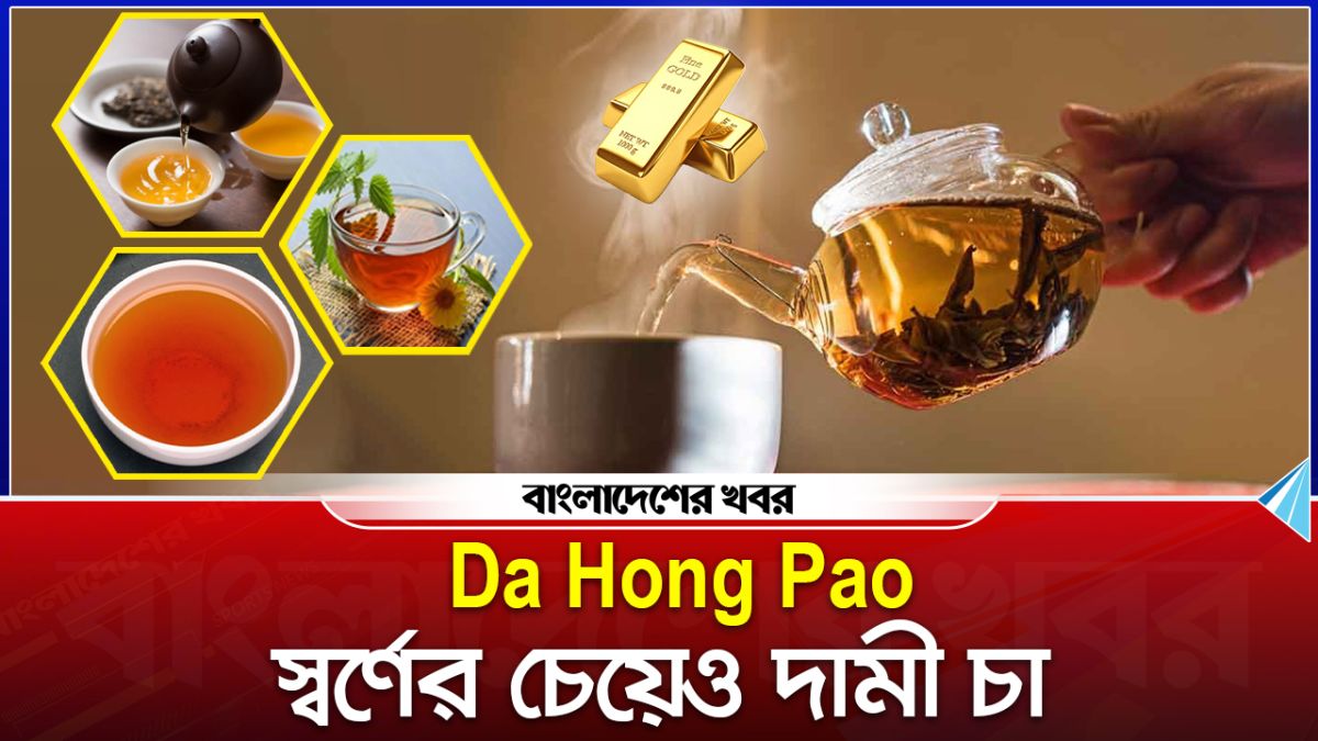 কোথায় উৎপাদিত হয় বিশ্বের সবচেয়ে দামী চা