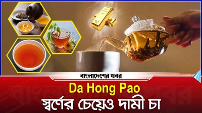 কোথায় উৎপাদিত হয় বিশ্বের সবচেয়ে দামী চা