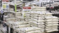জাপানে চালের দাম বেড়ে প্রায় দিগুণ, কারণ কী?