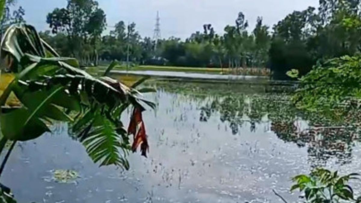 পলাশবাড়ীতে পানিতে ডুবে ২ শিশুর মৃত্যু