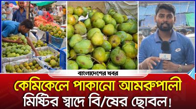 কেমিকেলে পাকানো আমরুপালী মিষ্টির স্বাদে বিষের ছোবল
