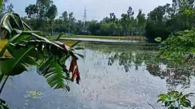 পলাশবাড়ীতে পানিতে ডুবে ২ শিশুর মৃত্যু