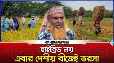 নোয়াখালীতে বোরো ধানের বীজ সংরক্ষণ ও বাজারজাতে আগ্রহী হচ্ছে কৃষক