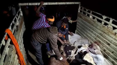 ভারতে গরুর মাংস বহন সন্দেহে ৪ মুসলিমকে পেটাল ‍উগ্র হিন্দুরা