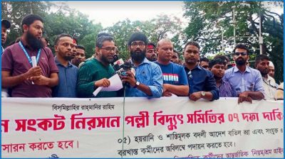 সারাদেশে কর্মবিরতির ঘোষণা পল্লী বিদ্যুৎ সমিতির