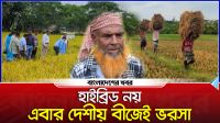 নোয়াখালীতে বোরো ধানের বীজ সংরক্ষণ ও বাজারজাতে আগ্রহী হচ্ছে কৃষক