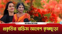 বৃষ্টি, কৃষ্ণচূড়া আর অগ্নিময় ভালোবাসা : প্রকৃতির রঙে সাজানো এক রূপকথা
