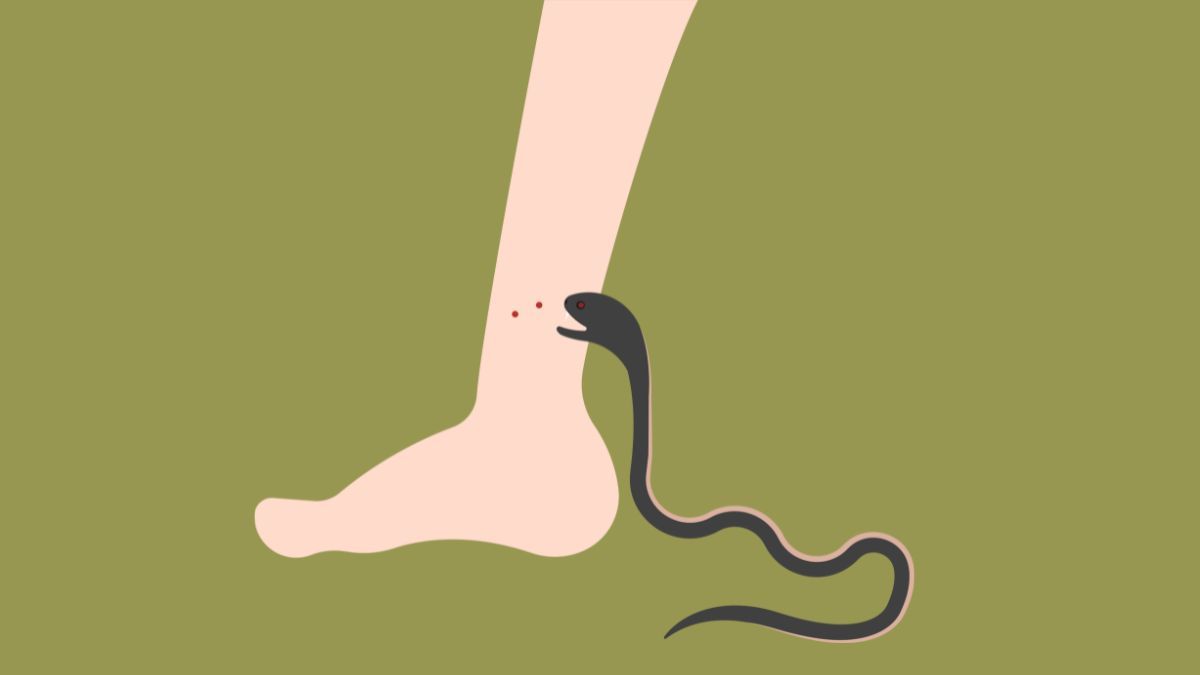 গোমস্তাপুরে সাপের কামড়ে ঘুমন্ত শিশুর মৃত্যু