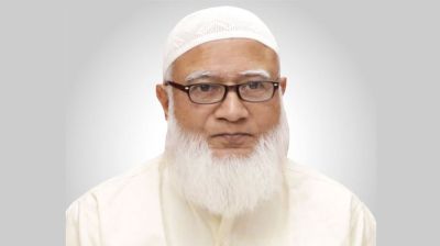 বিদেশ থেকে সাপ্লাই দেওয়া রায়ে জামায়াত নেতাদের ফাঁসি দেওয়া হয়েছে