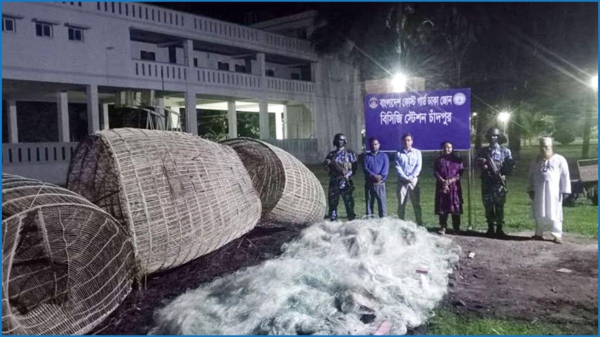 চাঁদপুরে পাঙ্গাশের ফাঁদসহ কারেন্টজাল জব্দ